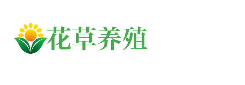 (PC+WAP)花卉养殖新闻资讯类模板 绿色花草植物网站源码下载
